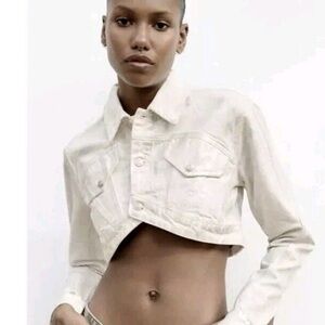 Zara Cropped Metallic Jean Jacket
